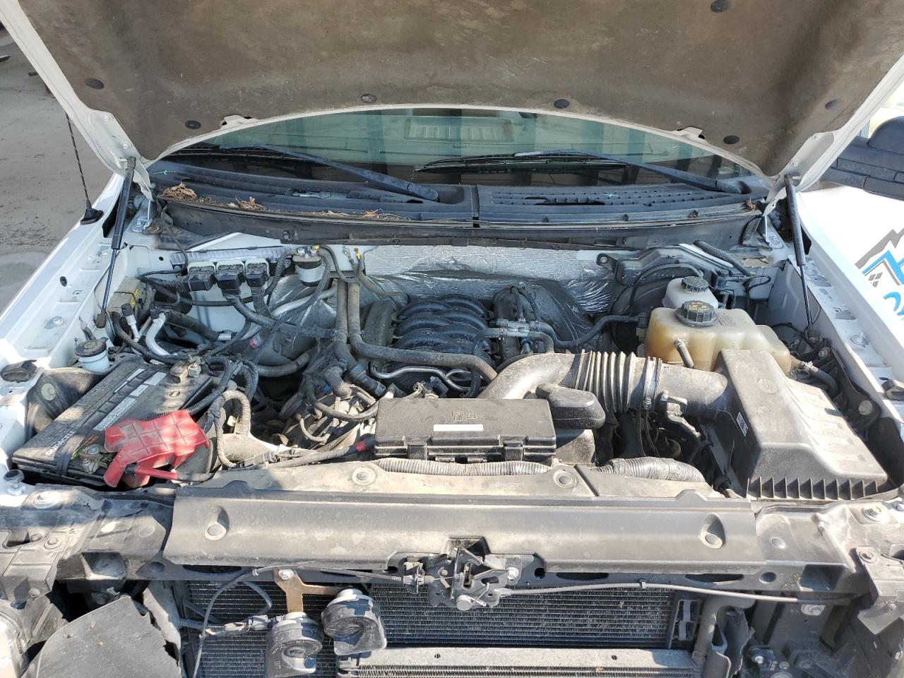 2012 Ford F150 VIN: 1FTNF1EF5CKE40070 Lot: 84264335