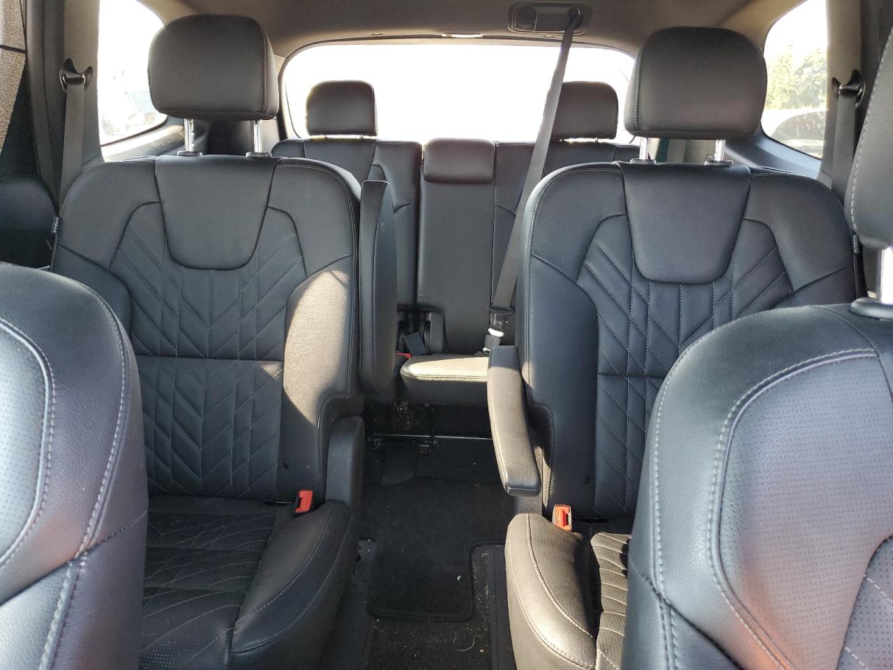 2024 Kia Telluride Sx VIN: 5XYP5DGC7RG452221 Lot: 71996575