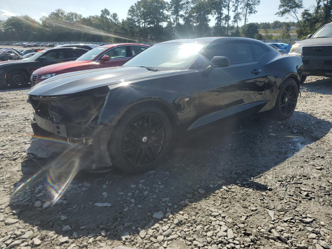 2019 Chevrolet Camaro Ls VIN: 1G1FB1RX3K0117285 Lot: 81188665