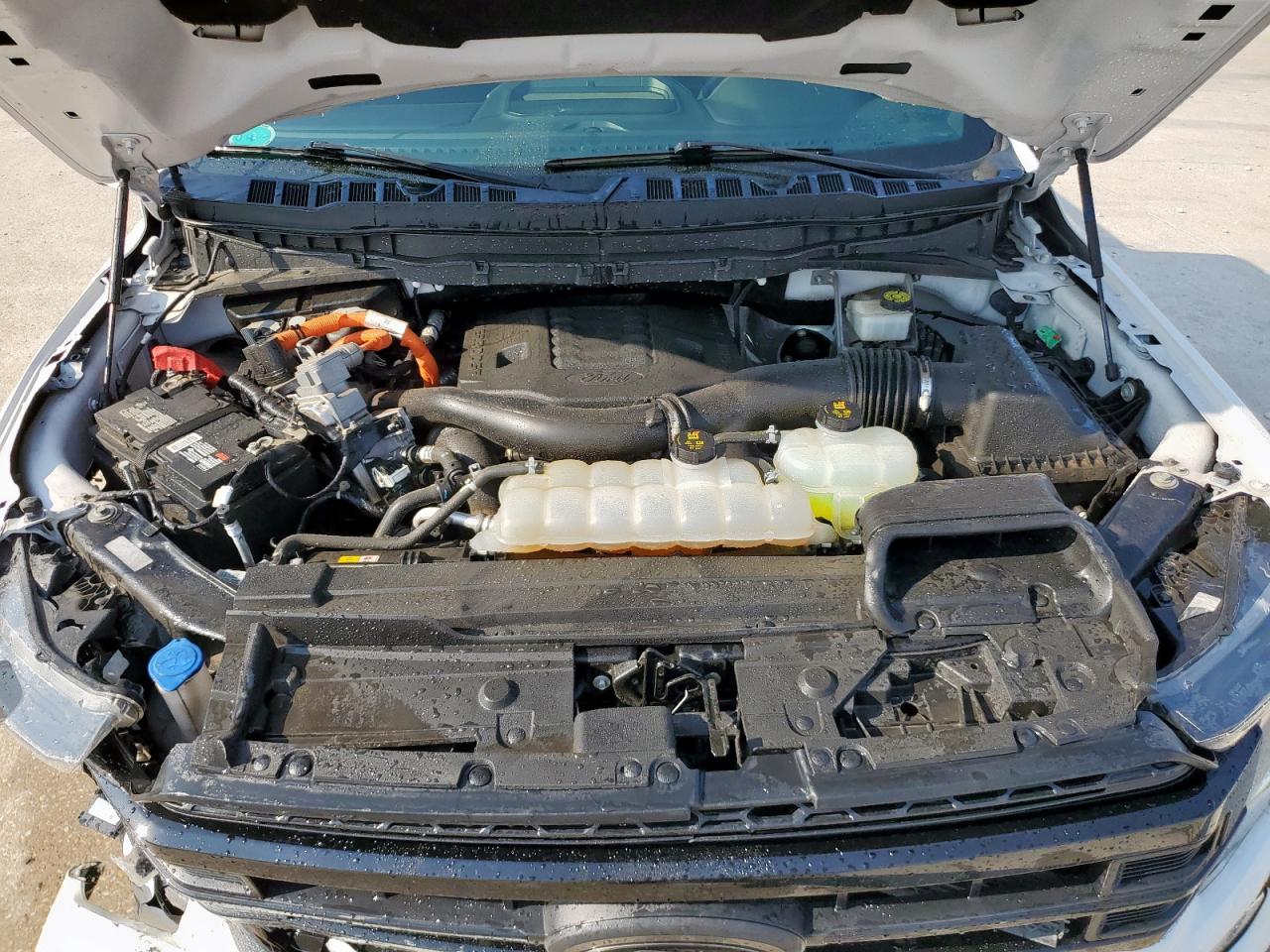 2023 Ford F150 Supercrew VIN: 1FTFW1ED1PFA11719 Lot: 71799515