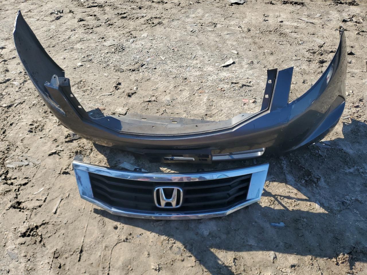 2010 Honda Accord Lx VIN: 1HGCP2F38AA192982 Lot: 81396115