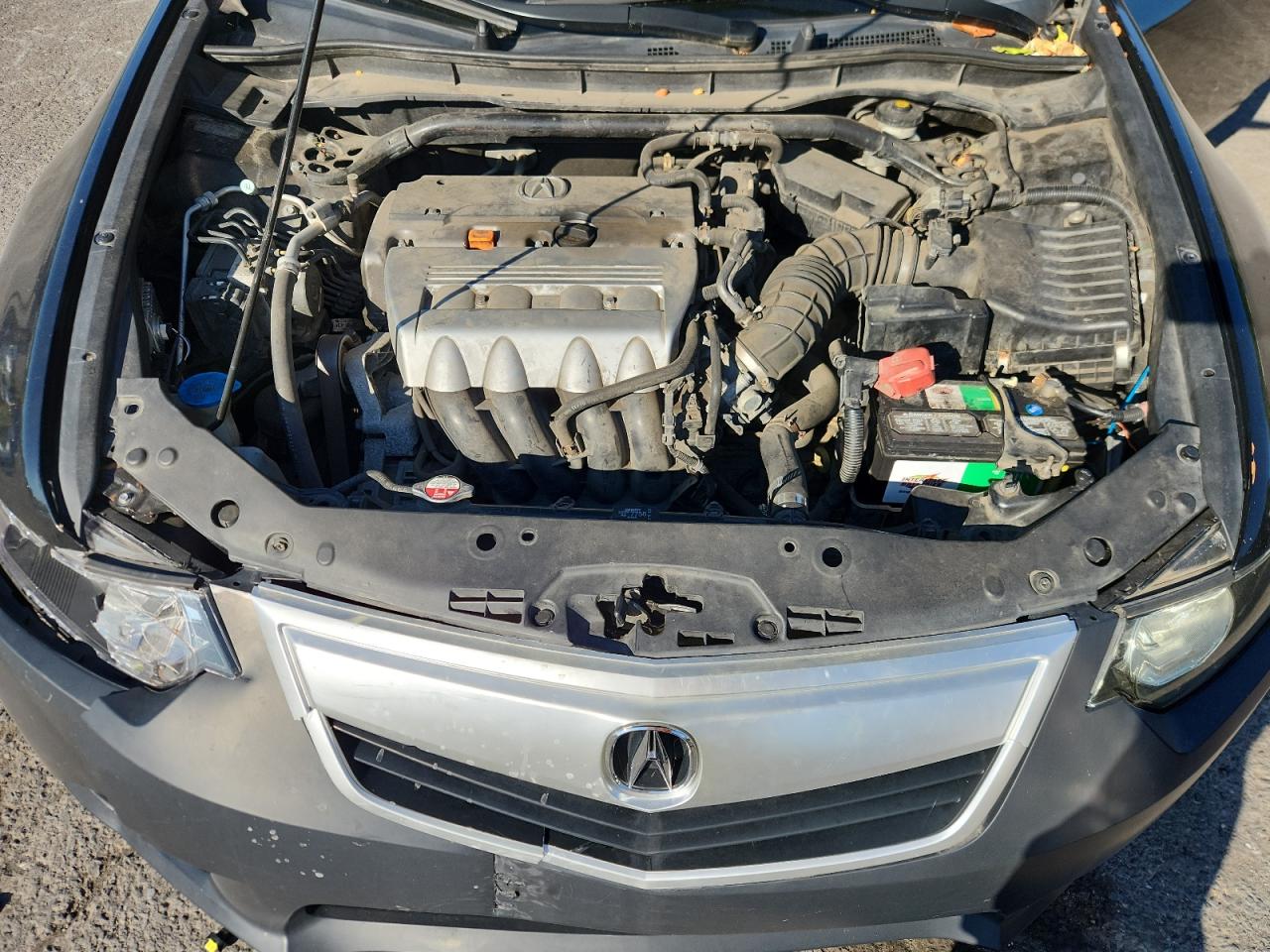 2011 Acura Tsx VIN: JH4CU2F61BC004096 Lot: 81108875
