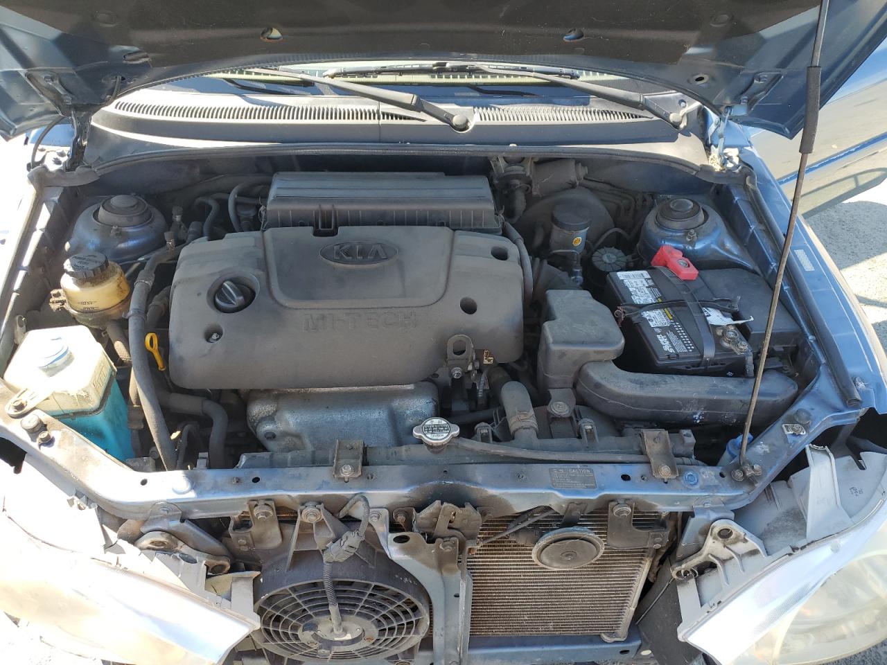 2001 Kia Rio VIN: KNADC123316063031 Lot: 81620495