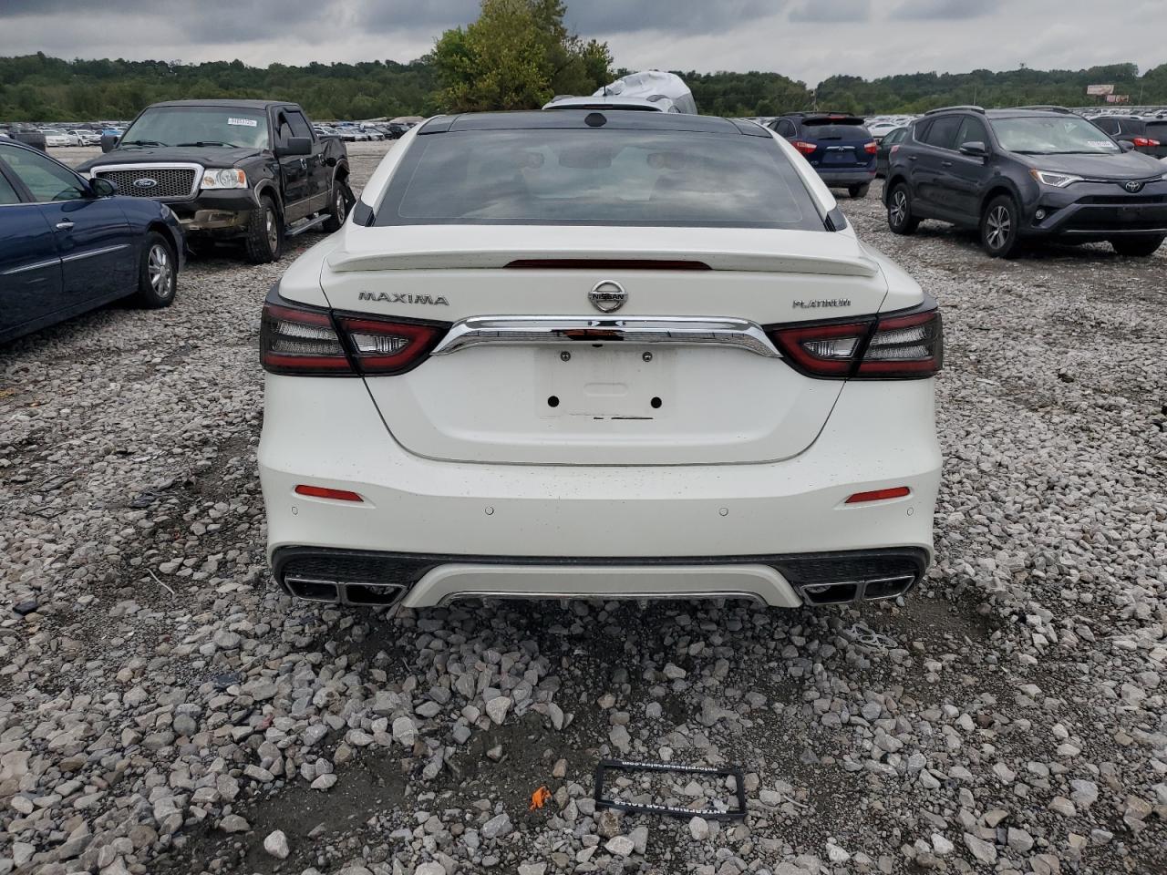 2019 Nissan Maxima S VIN: 1N4AA6AV7KC362414 Lot: 81707705