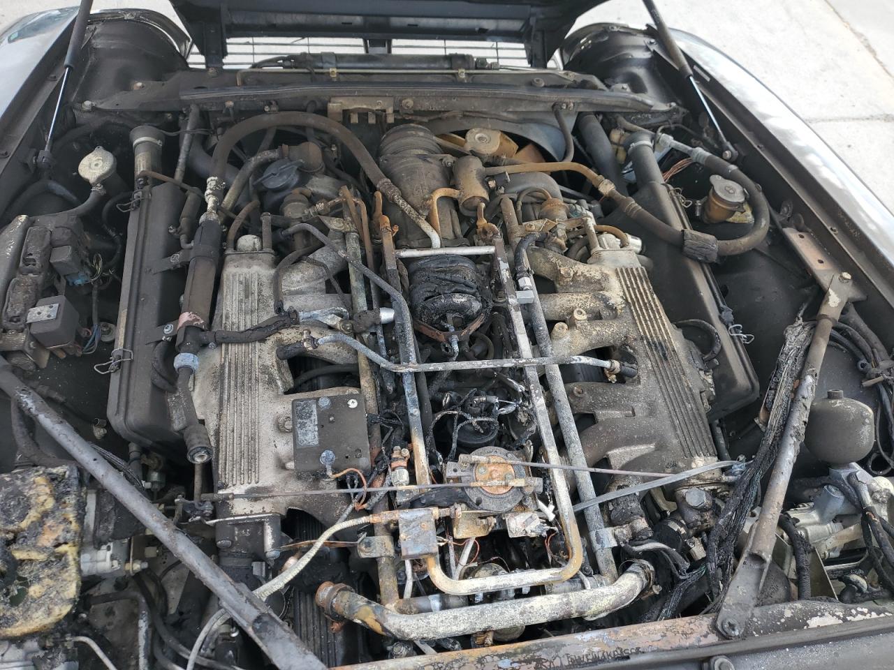 1989 Jaguar Xjs VIN: SAJNA5849KC156340 Lot: 81369415