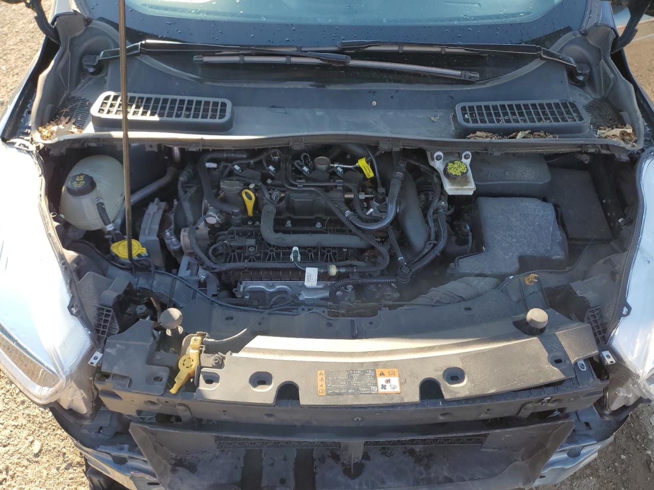 2019 Ford Escape Se VIN: 1FMCU9GD9KUA68433 Lot: 71010485