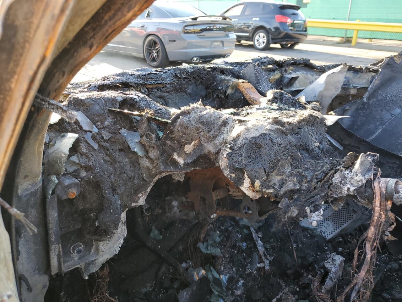 Фото: 5UXFG8C5XCL590205