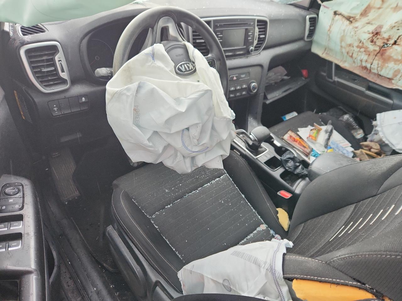 2018 Kia Sportage Lx VIN: KNDPM3AC2J7423264 Lot: 84037685