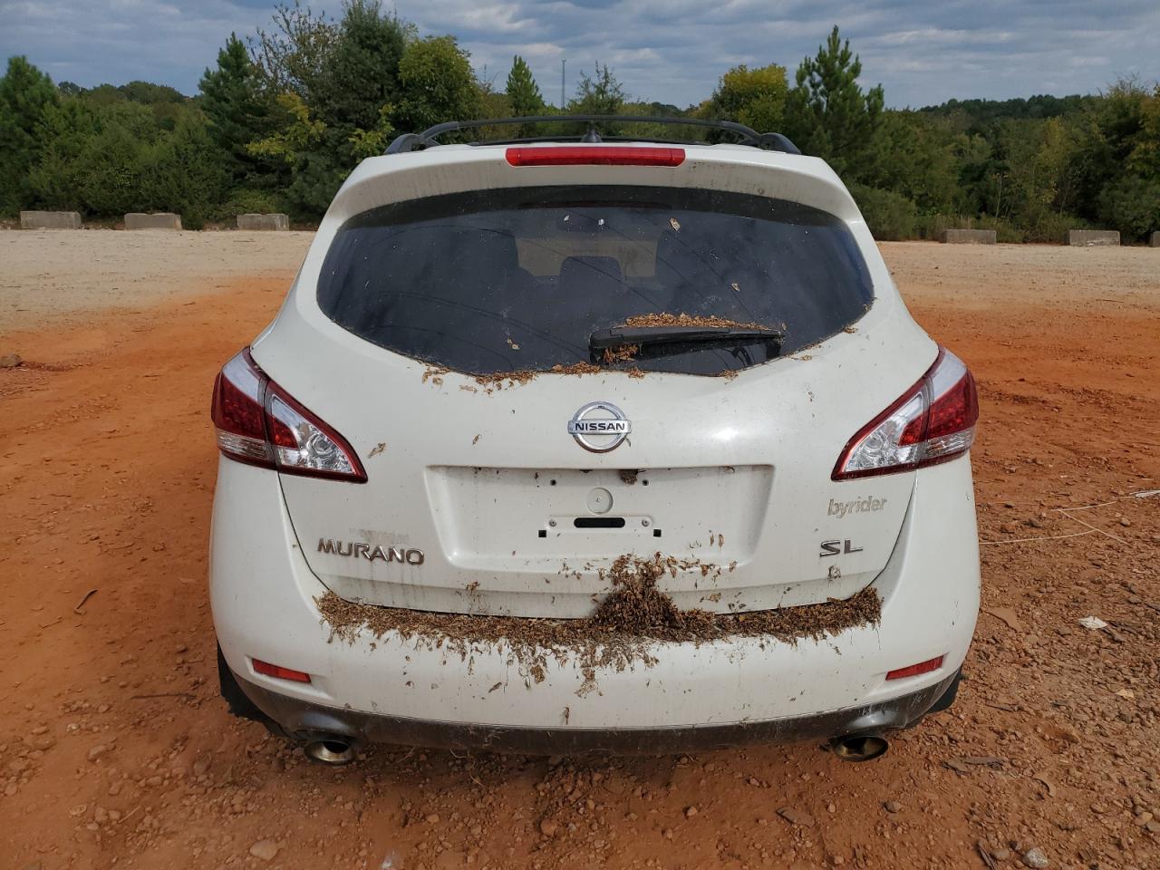 2013 Nissan Murano S VIN: JN8AZ1MU4DW202246 Lot: 80076765