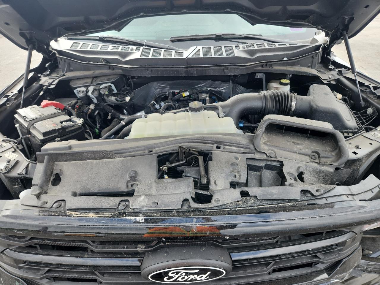 2024 Ford F150 Xlt VIN: 1FTEW3LP9RFC23047 Lot: 71137095