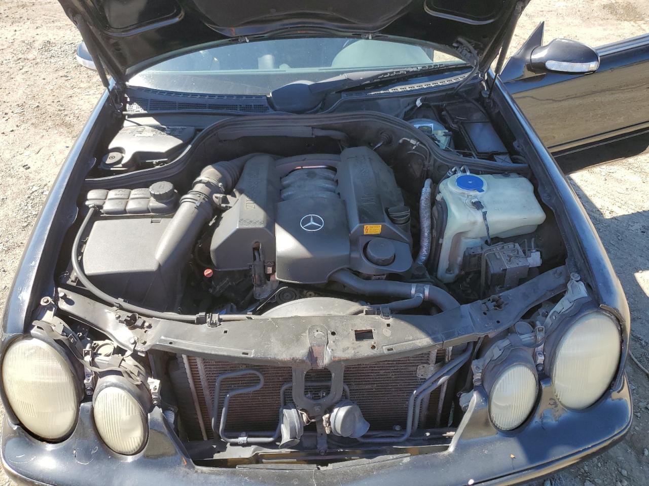 2000 Mercedes-Benz Clk 320 VIN: WDBLK65G2YT052982 Lot: 81519625