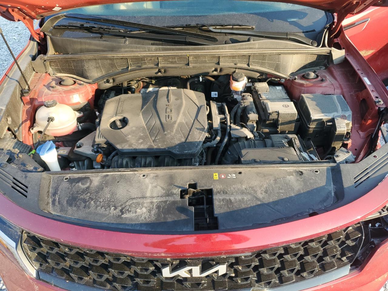 2023 Kia Sorento S VIN: 5XYRL4LC0PG223493 Lot: 81474055