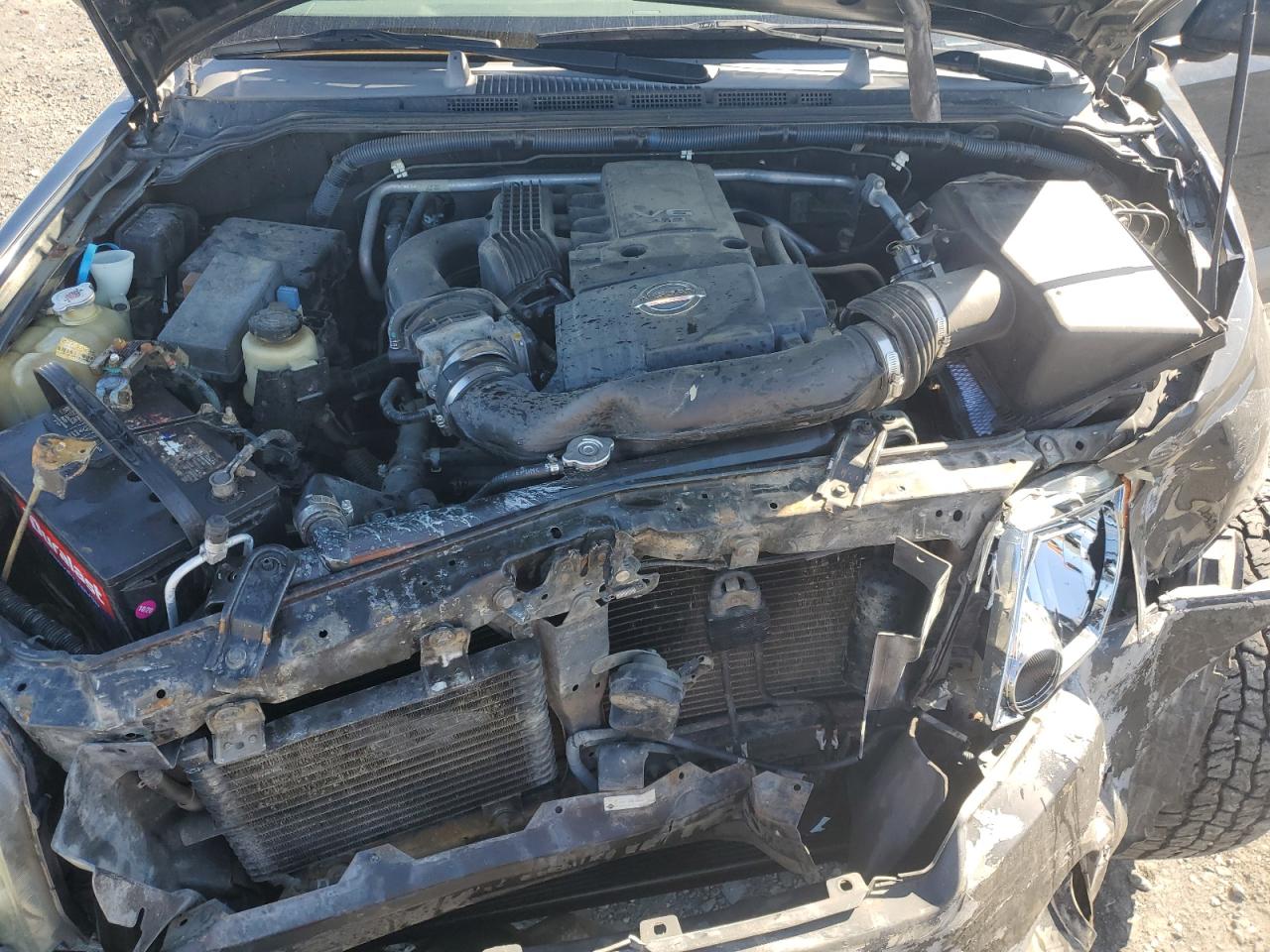 2005 Nissan Xterra Off Road VIN: 5N1AN08W75C600756 Lot: 81528045