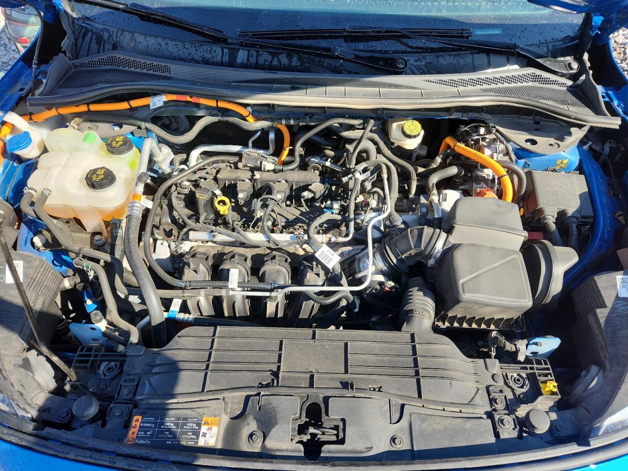 2021 Ford Escape Sel VIN: 1FMCU9CZ4MUA11559 Lot: 81082075