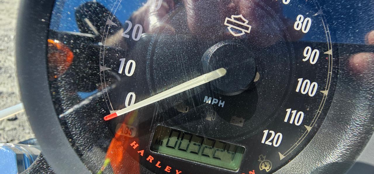 2015 Harley-Davidson Xl883 Iron 883 VIN: 1HD4LE215FC425070 Lot: 71064275