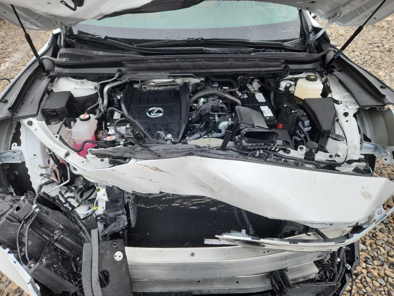 2025 Lexus Rx 350 Base VIN: 2T2BAMCA3SC093585 Lot: 84410195