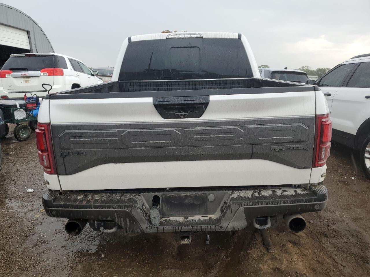 2019 Ford F150 Raptor VIN: 1FTFW1RG3KFB45998 Lot: 80753815