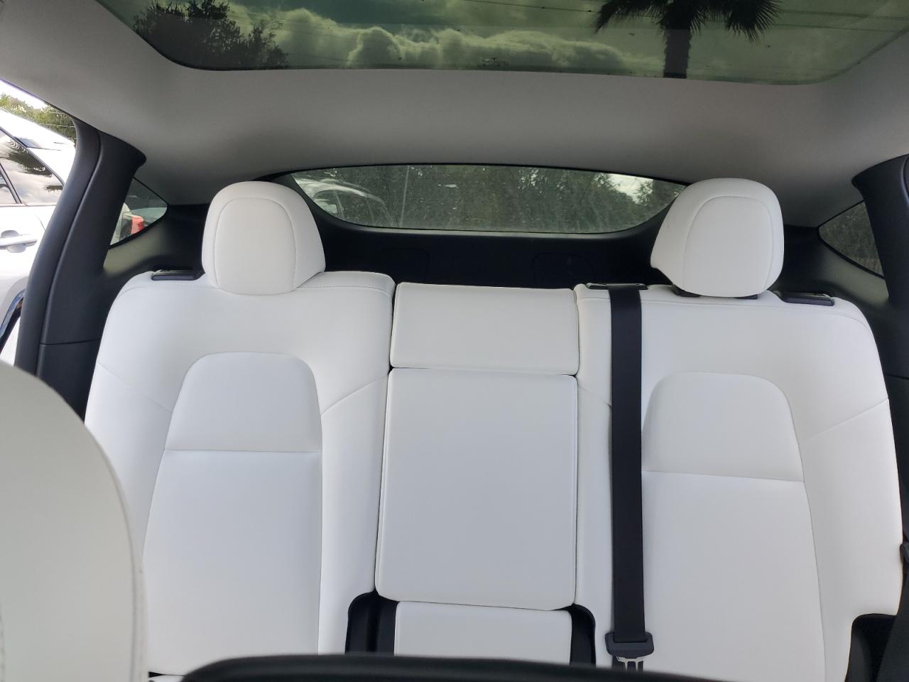 2022 Tesla Model Y VIN: 7SAYGDEE0NF362688 Lot: 82109765