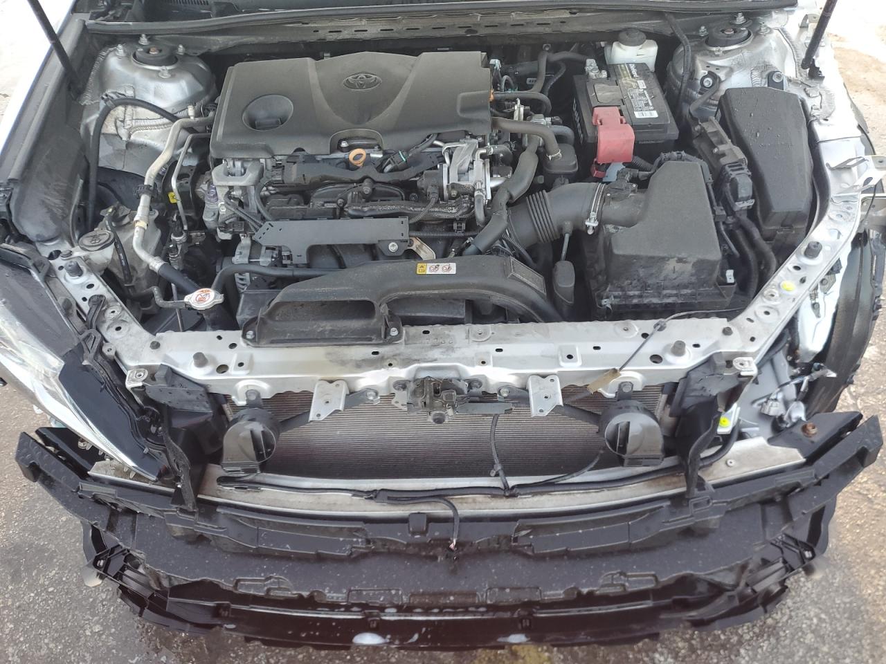 VIII (XV70) VIII (XV70)