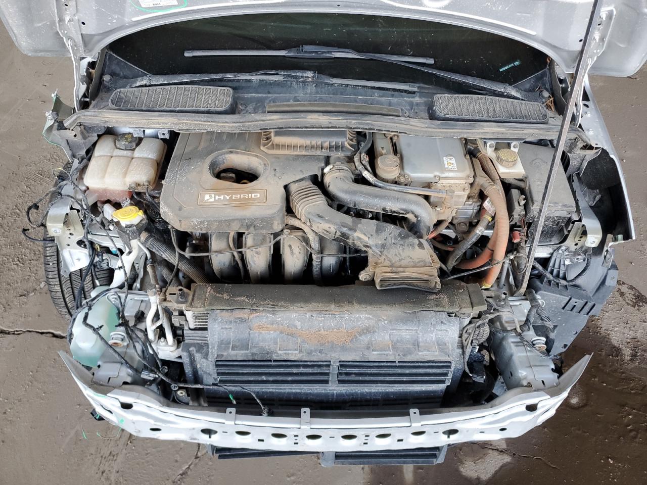 2016 Ford C-Max Sel VIN: 1FADP5BU0GL101712 Lot: 81901745