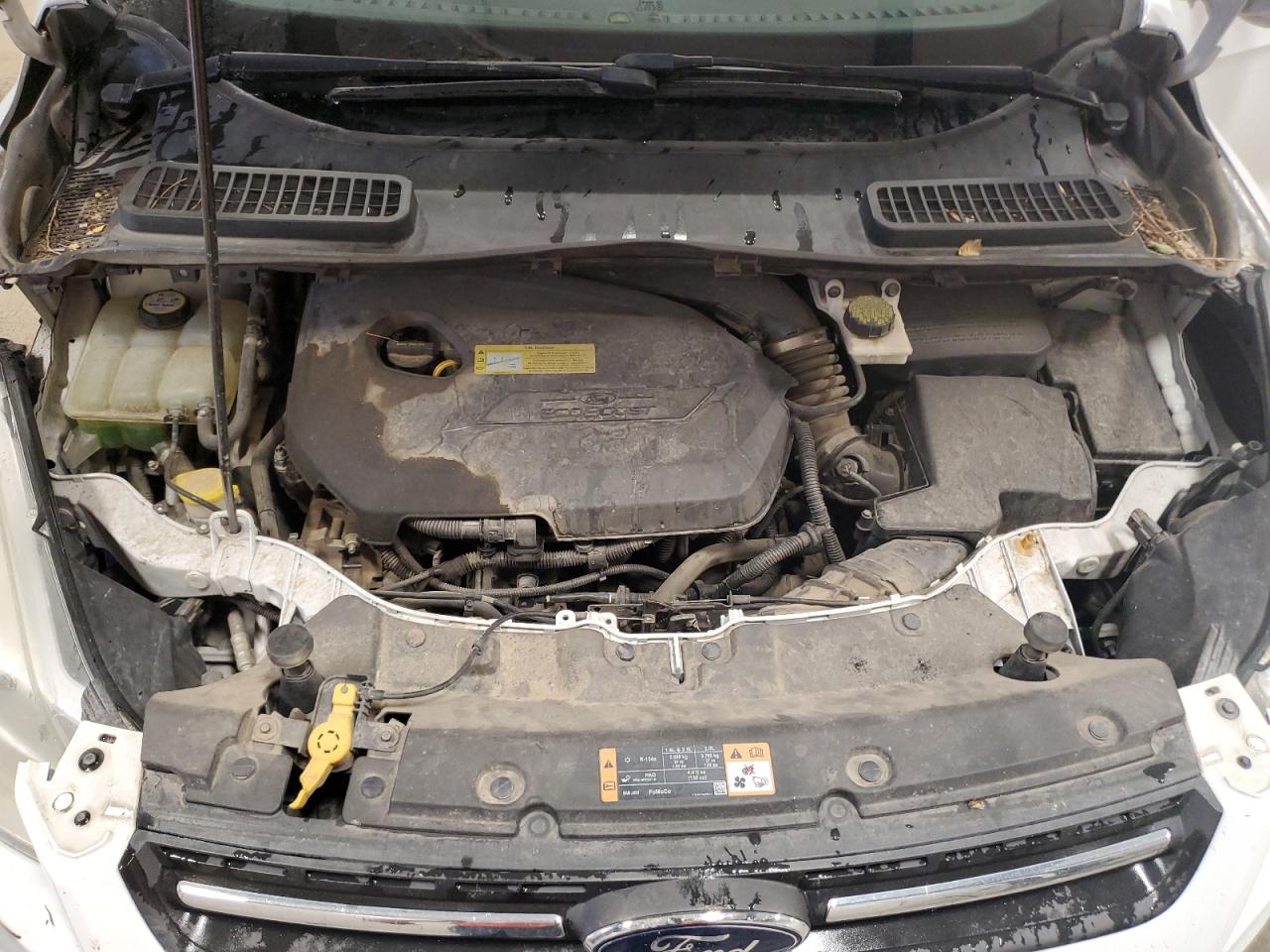 2014 Ford Escape Se VIN: 1FMCU9GX4EUB09906 Lot: 71281595