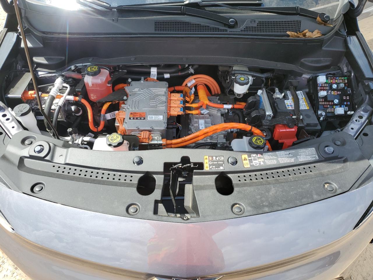 2023 Chevrolet Bolt Euv Lt VIN: 1G1FY6S02P4196179 Lot: 81709325