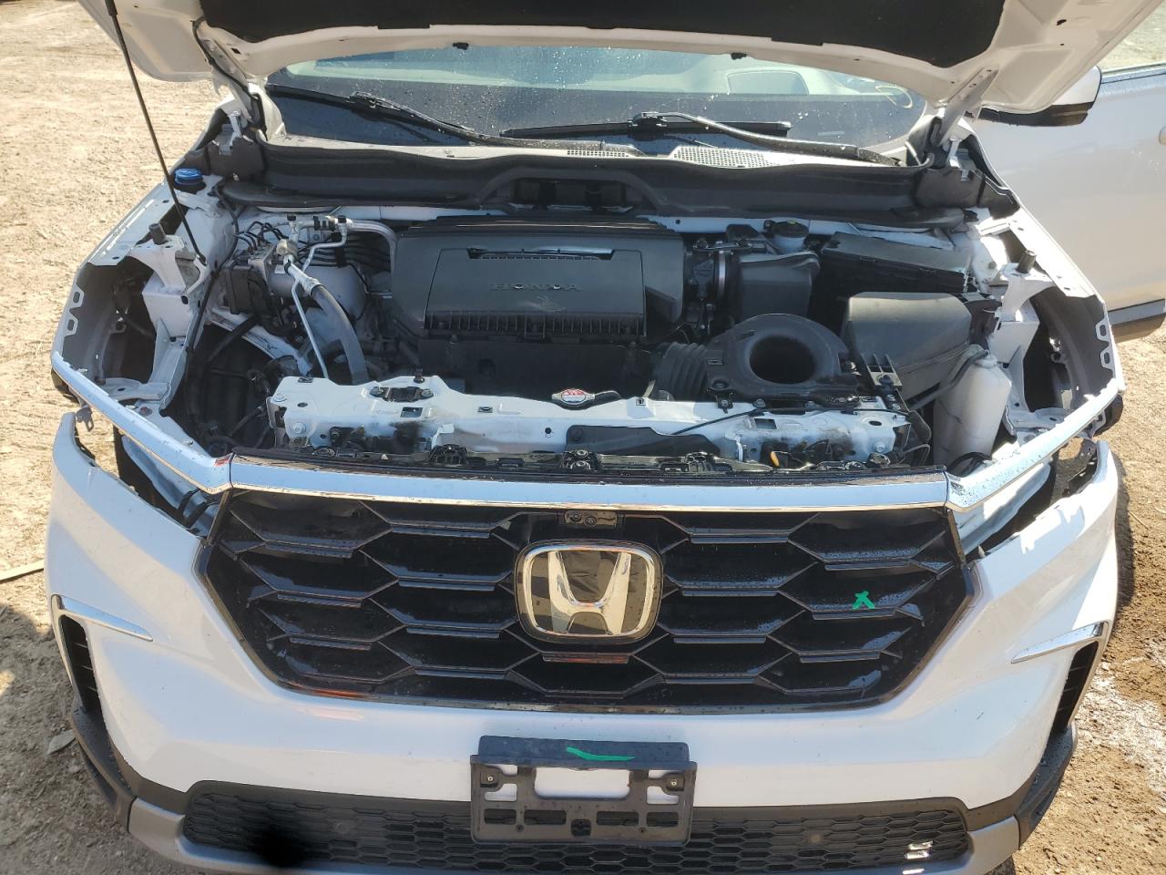 2023 Honda Pilot Elite VIN: 5FNYG1H87PB013094 Lot: 71628395