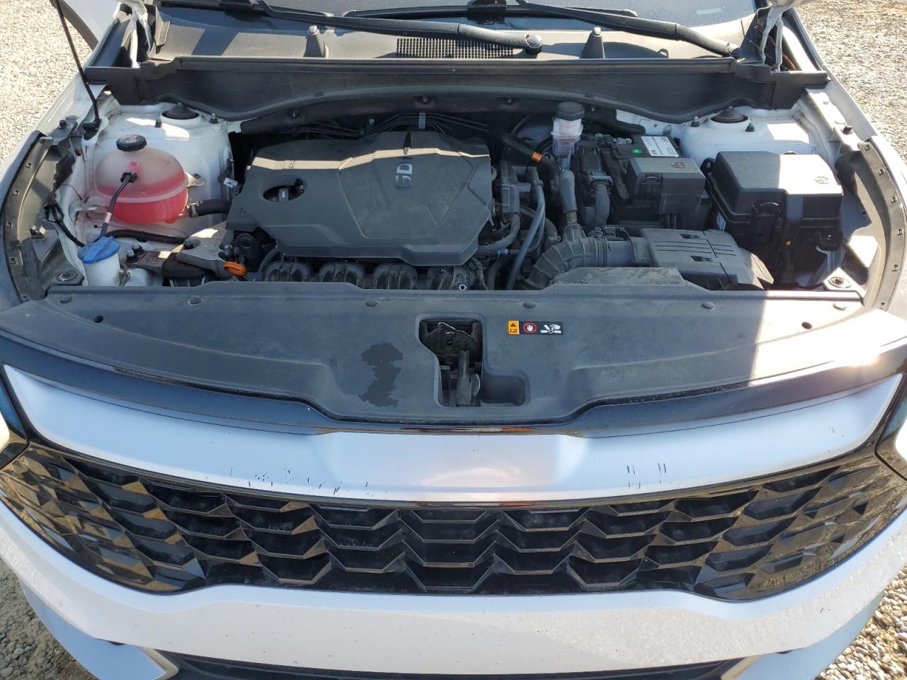 2023 Kia Sportage Ex VIN: 5XYK33AF2PG061150 Lot: 80750415