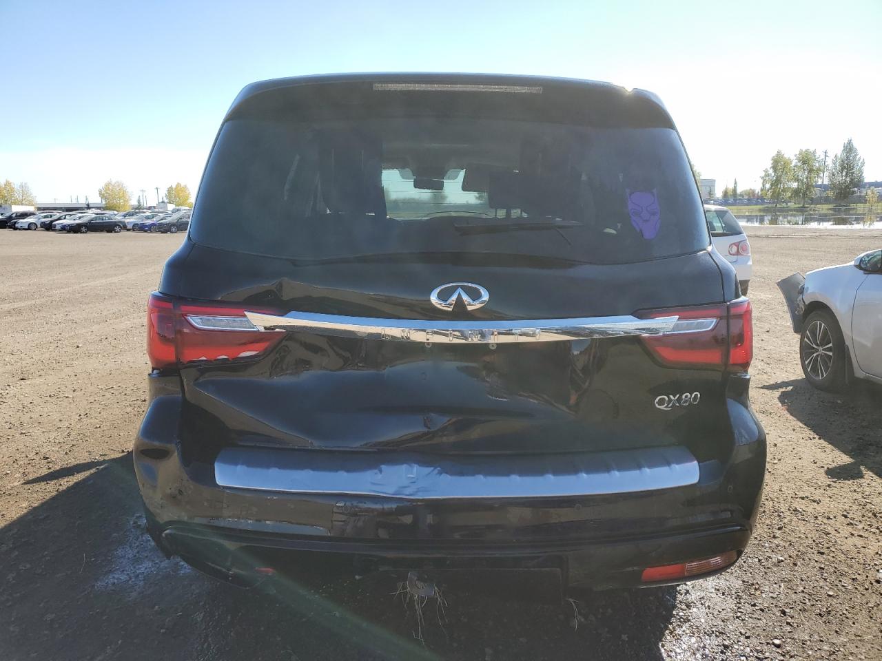 2019 Infiniti Qx80 Luxe VIN: JN8AZ2NE0K9226973 Lot: 71320225