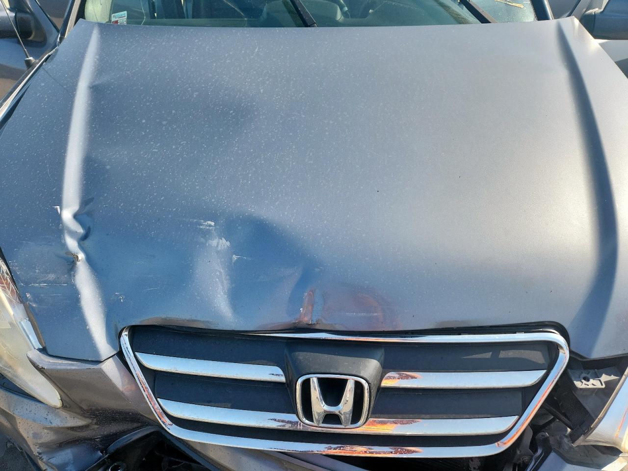 2005 Honda Cr-V Se VIN: JHLRD78995C021428 Lot: 72093255