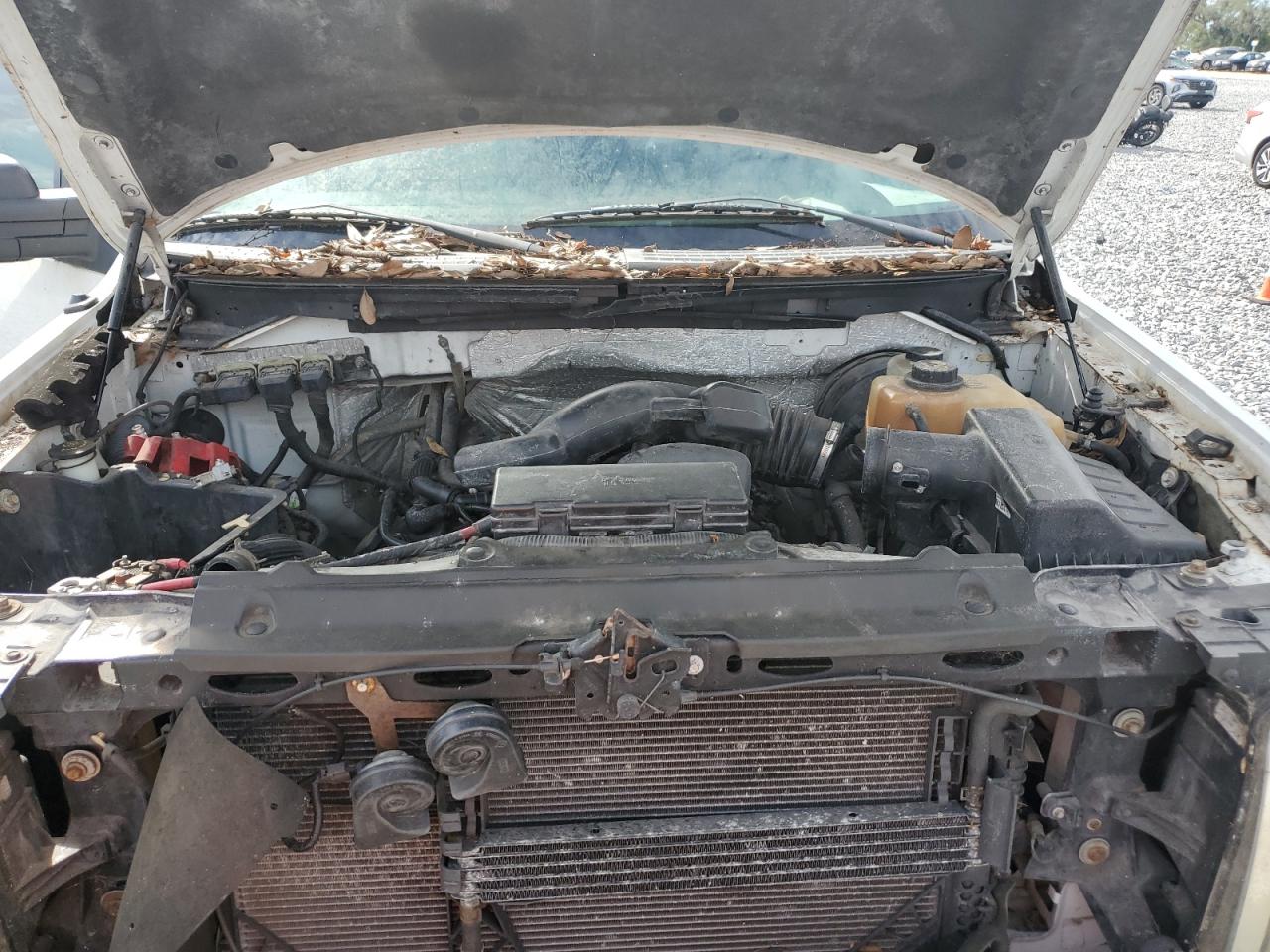 2013 Ford F150 VIN: 1FTNF1CF9DKD40140 Lot: 81556905