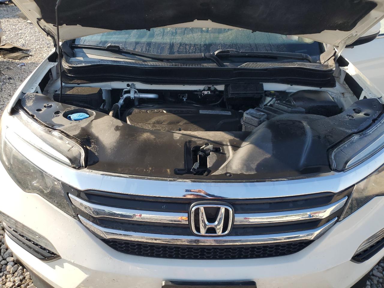 2018 Honda Pilot Exl VIN: 5FNYF6H56JB042230 Lot: 80179695