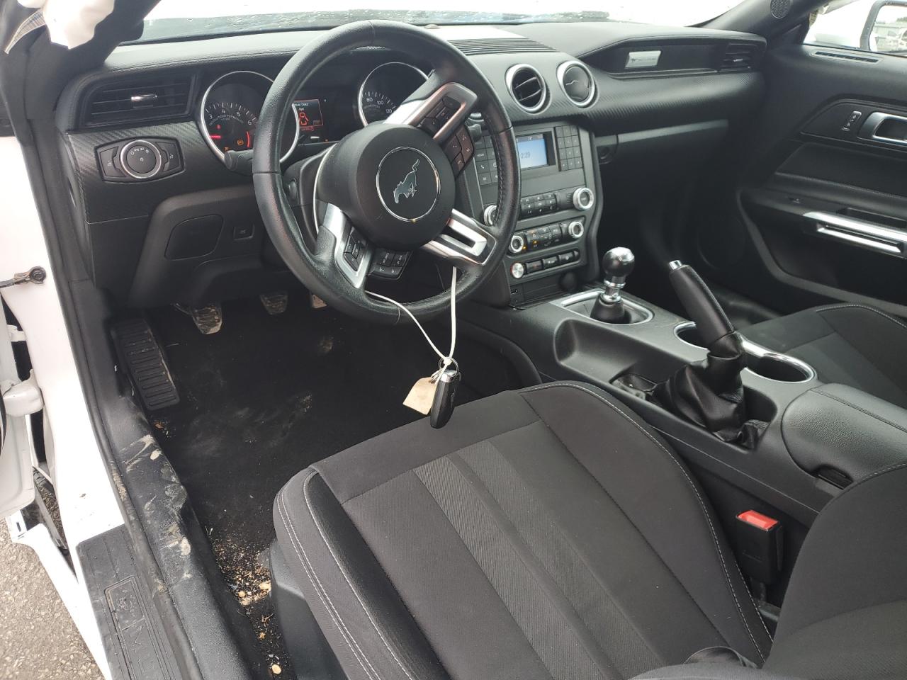 2019 Ford Mustang VIN: 1FA6P8THXK5143331 Lot: 81428935