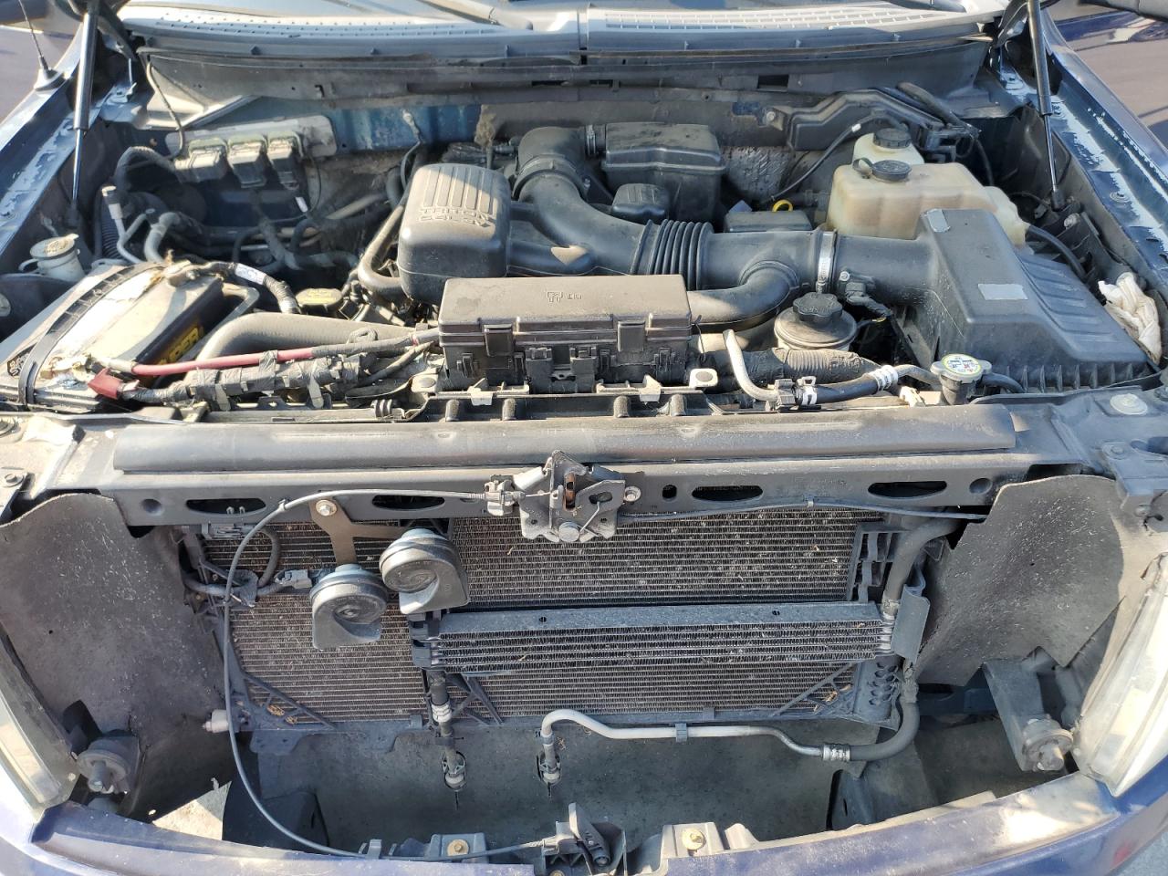 2010 Ford F150 Supercrew VIN: 1FTFW1EV7AKA91101 Lot: 71108315