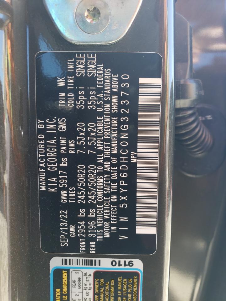 2022 Kia Telluride S VIN: 5XYP6DHC0NG323730 Lot: 80987135