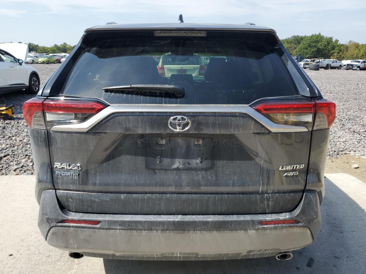 2020 Toyota Rav4 Limited VIN: JTMN1RFV6LD060968 Lot: 80516695