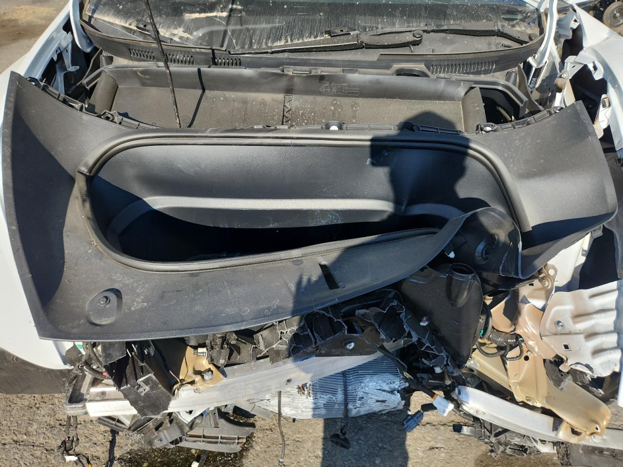 2026 Tesla Model Y VIN: 7SAYGDEE8TF327443 Lot: 70925435