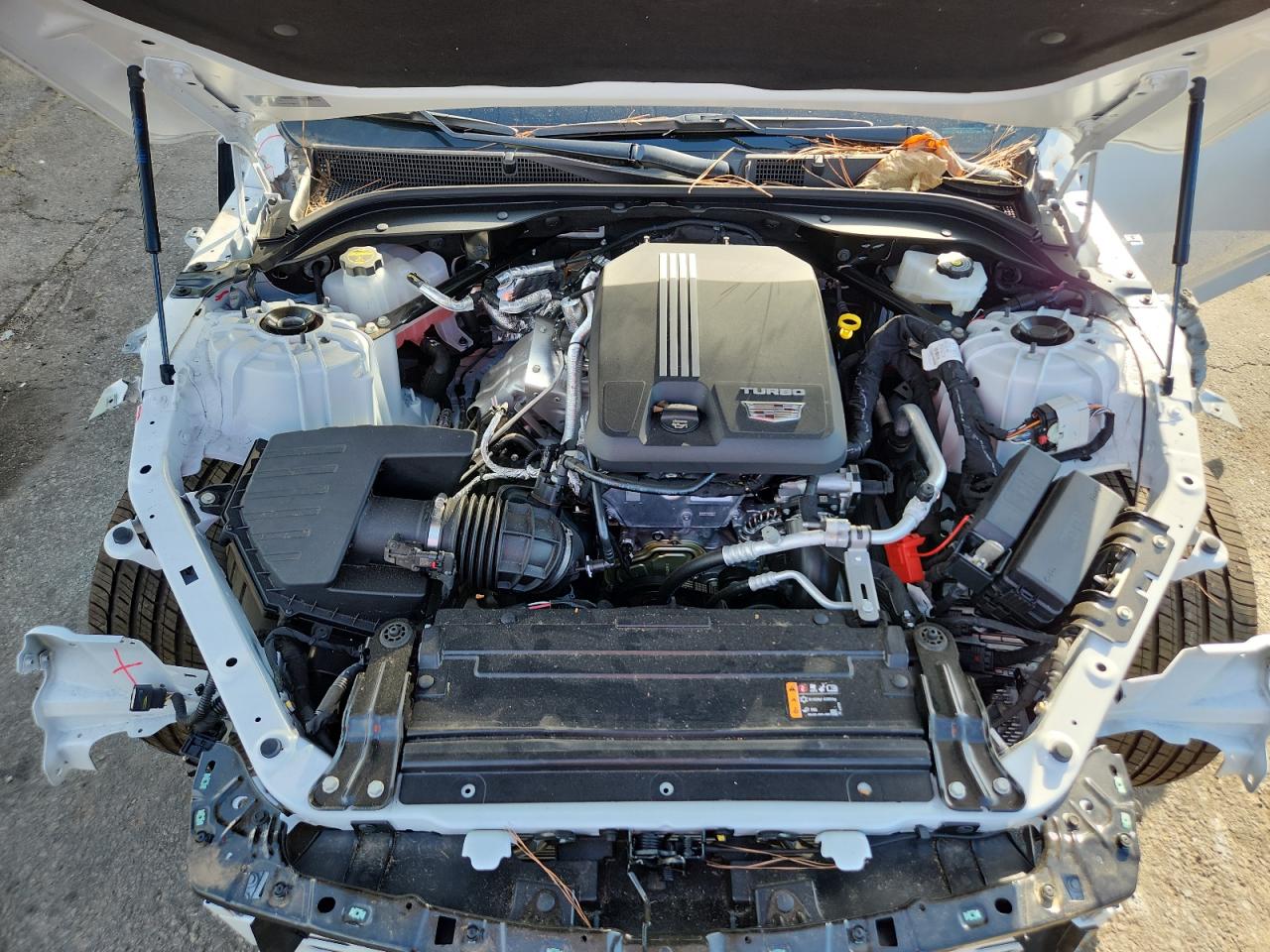 2025 Cadillac Ct5 Premium Luxury VIN: 1G6DN5RK1S0108928 Lot: 82122295