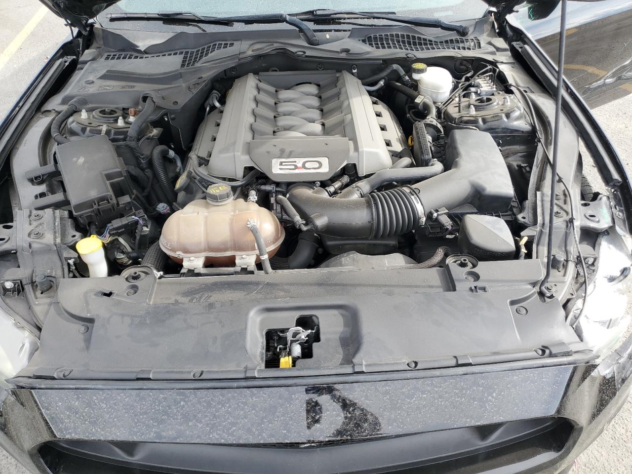 2015 Ford Mustang Gt VIN: 1FA6P8CF7F5386406 Lot: 81858425