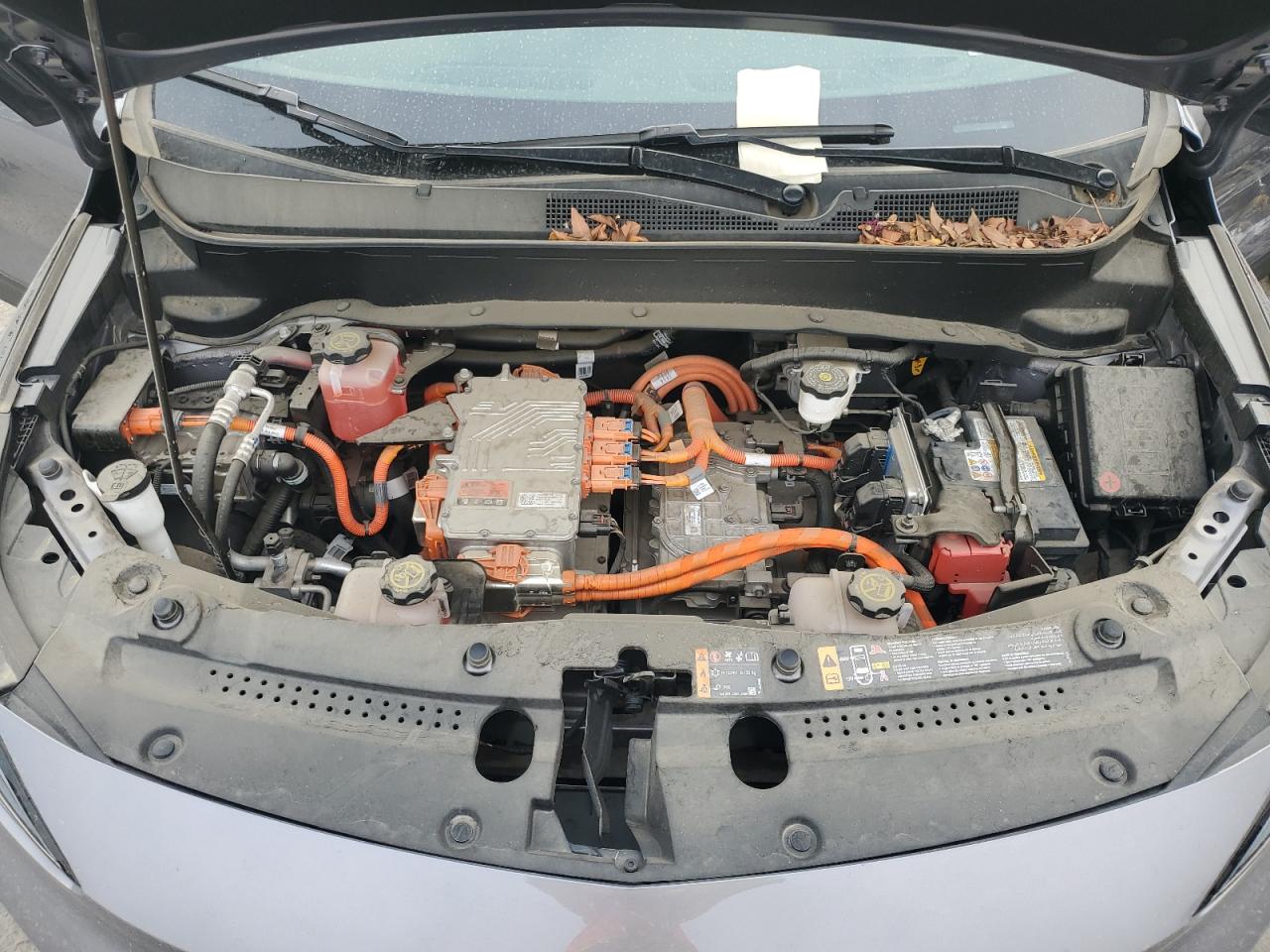 2023 Chevrolet Bolt Euv Lt VIN: 1G1FY6S01P4186338 Lot: 81856285