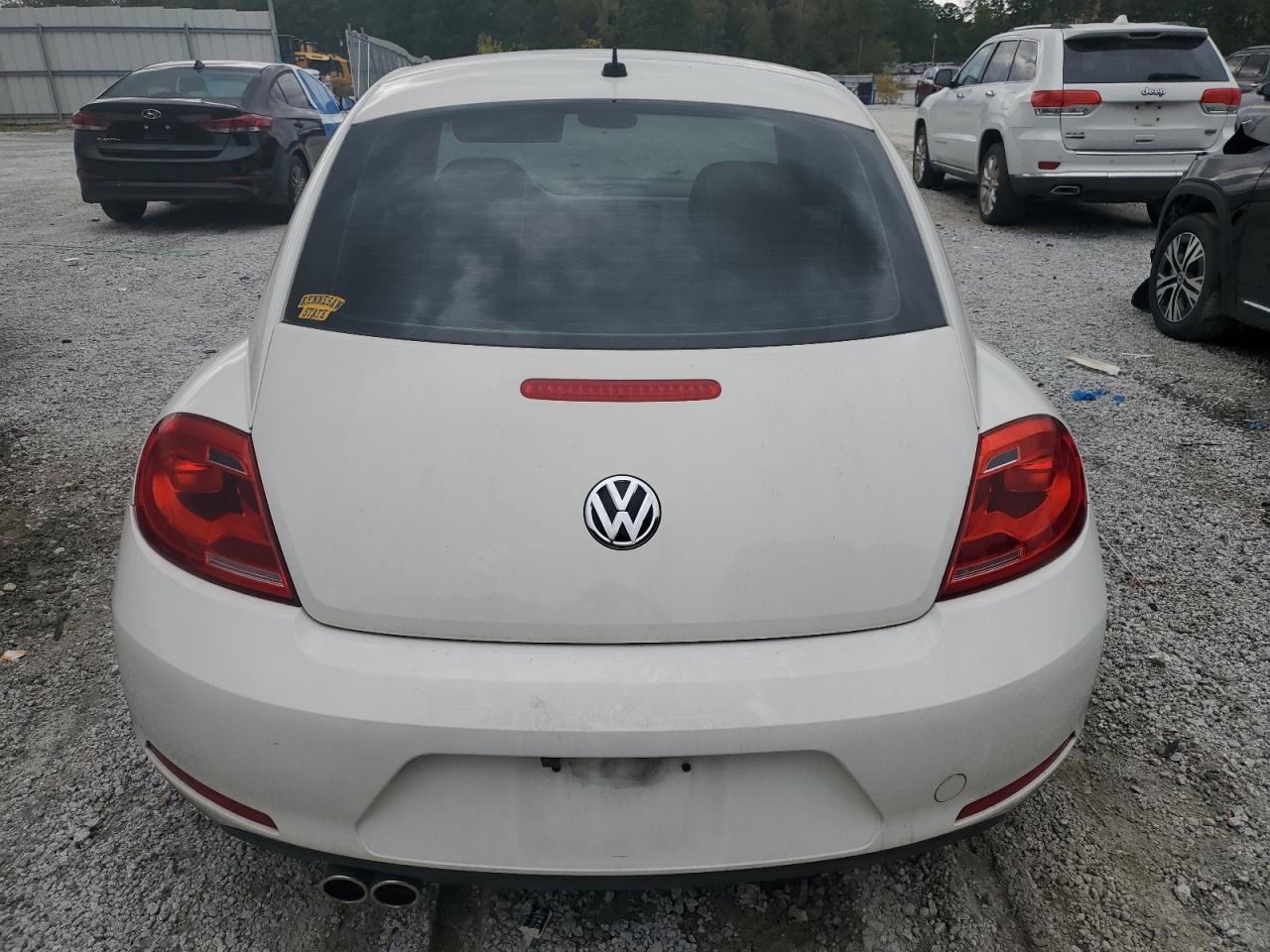 2013 Volkswagen Beetle VIN: 3VWJP7AT5DM687011 Lot: 81880785