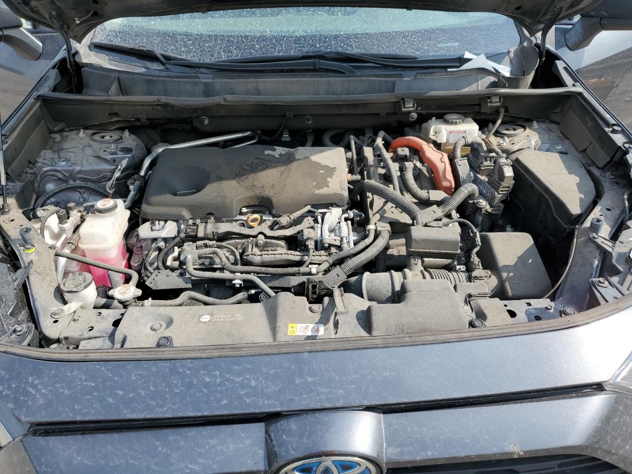 2020 Toyota Rav4 Le VIN: 2T3LWRFV1LW052384 Lot: 81476675