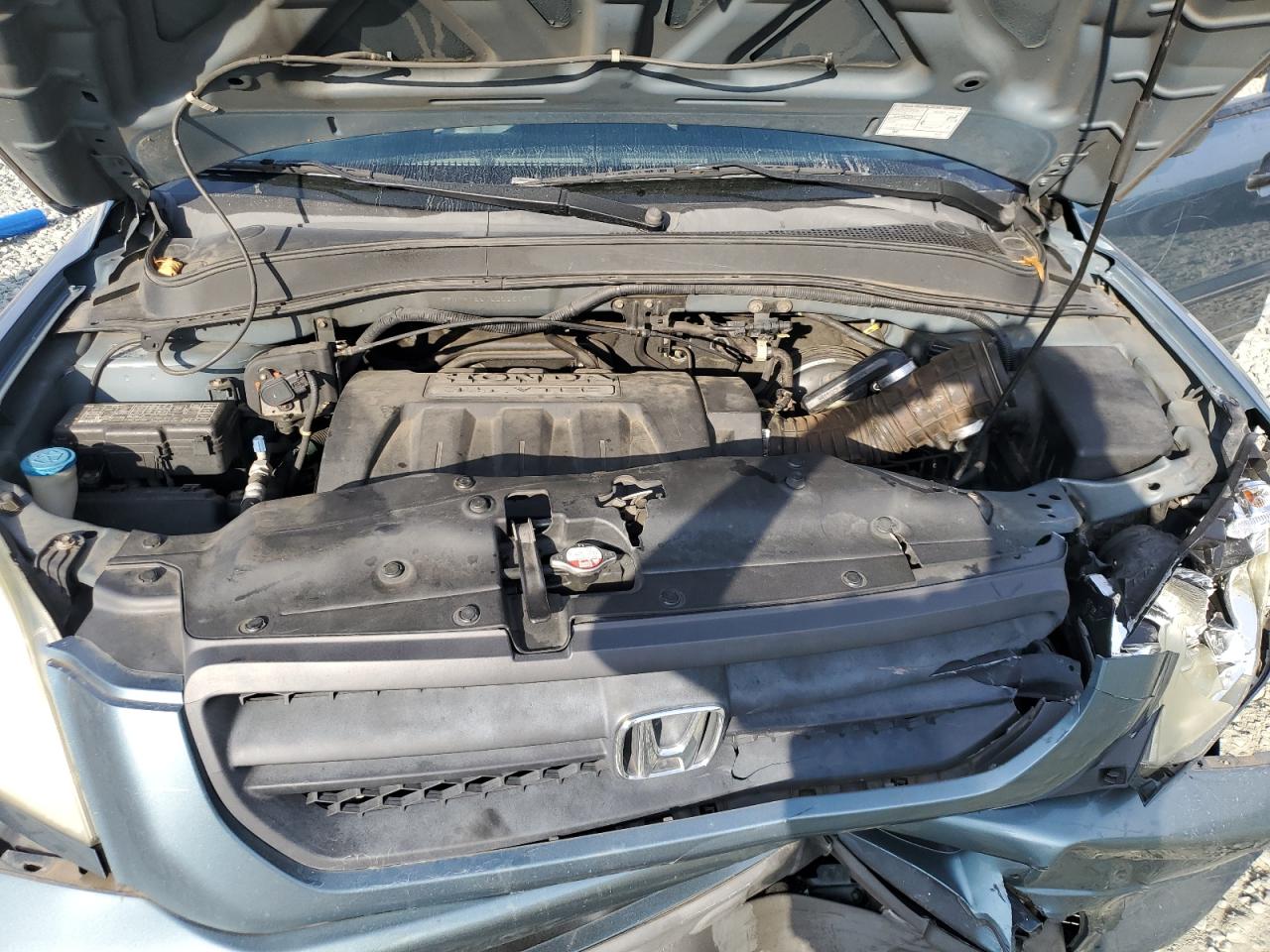 2005 Honda Pilot Exl VIN: 5FNYF18575B026191 Lot: 81709995