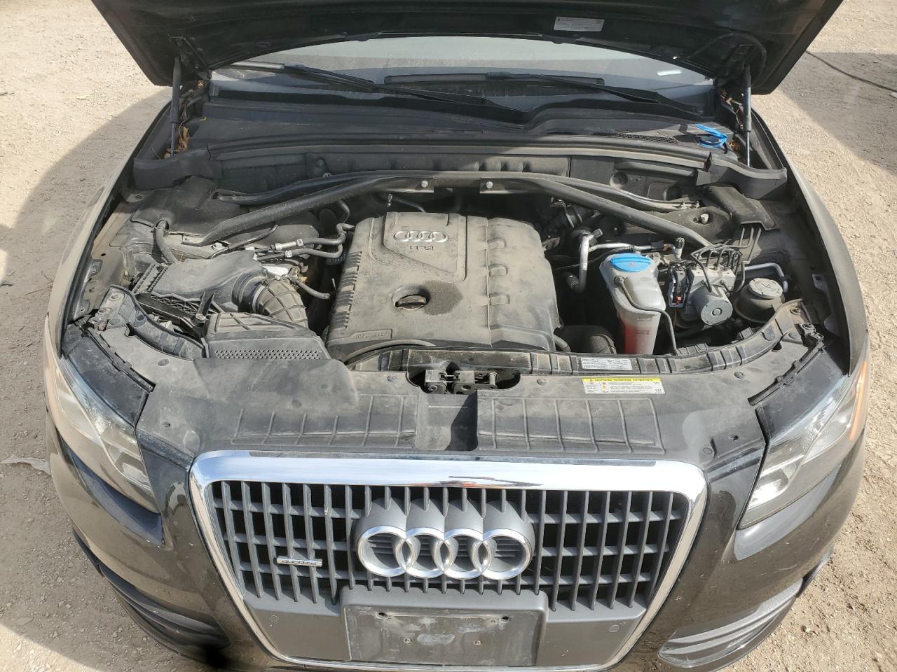 2012 Audi Q5 Premium Plus VIN: WA1LFAFP5CA008464 Lot: 72040235