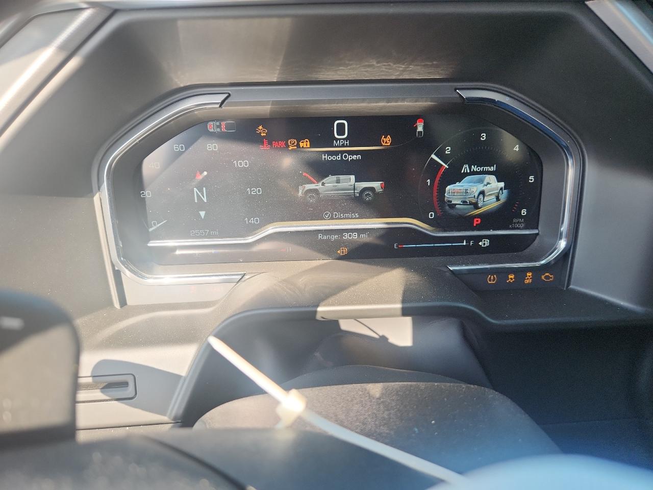 2025 GMC Sierra C1500 Denali VIN: 1GTPHGEDXSZ312496 Lot: 80640555