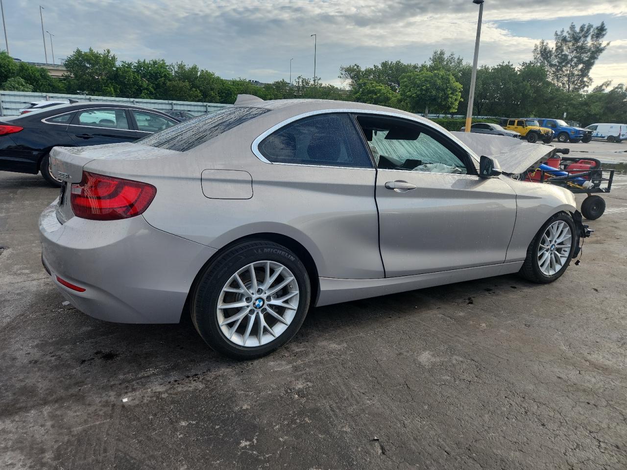 Фото: WBA1F9C54GV544204