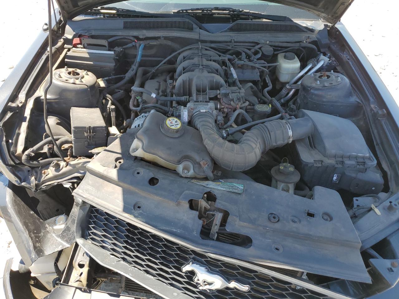 2008 Ford Mustang VIN: 1ZVHT80N685141526 Lot: 72014865