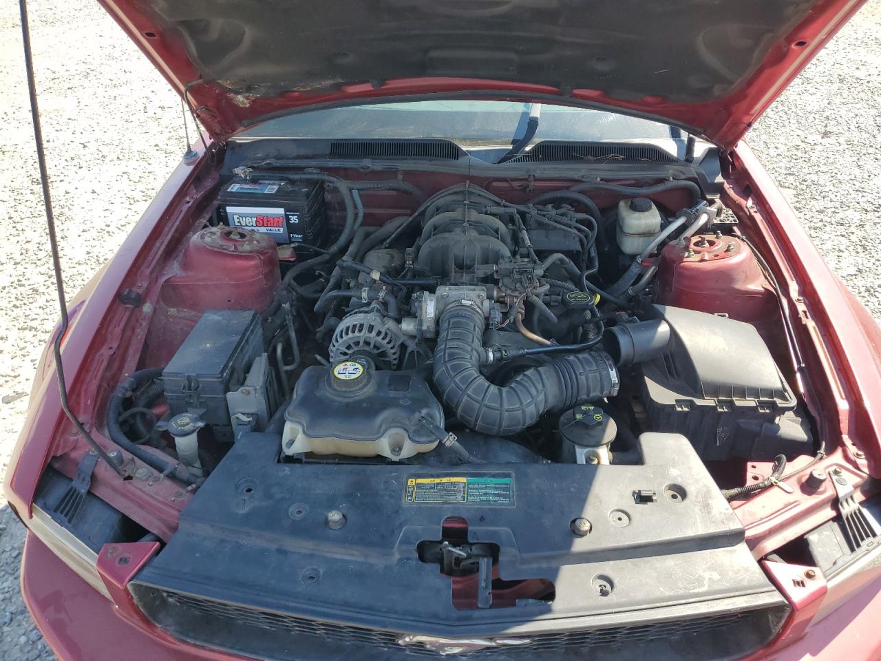 2007 Ford Mustang VIN: 1ZVFT80N675354854 Lot: 81826705
