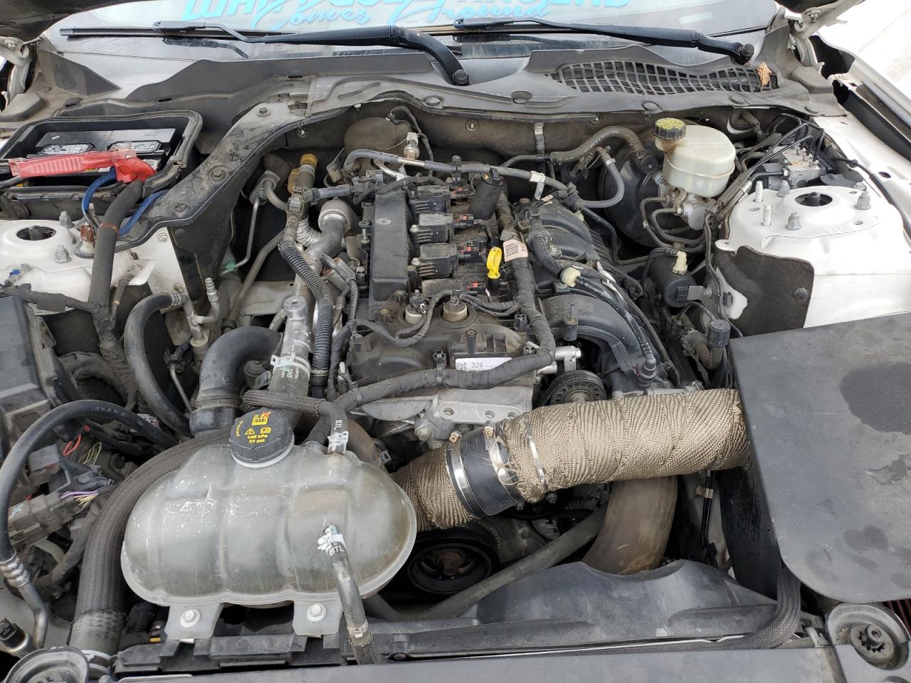 2017 Ford Mustang VIN: 1FA6P8TH4H5214886 Lot: 84278715