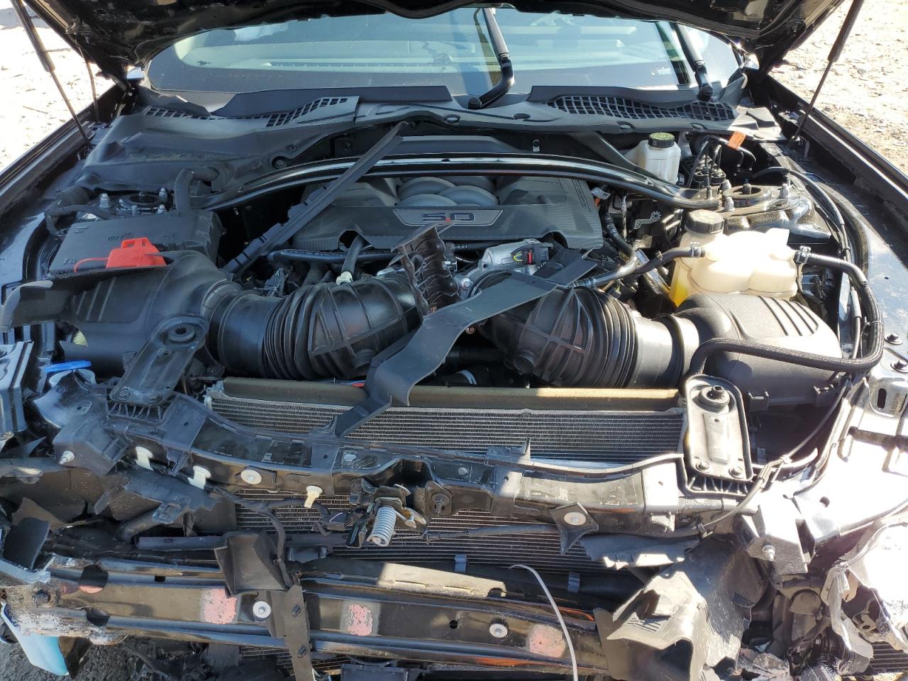 2024 Ford Mustang Gt VIN: 1FA6P8CF9R5402013 Lot: 81306165